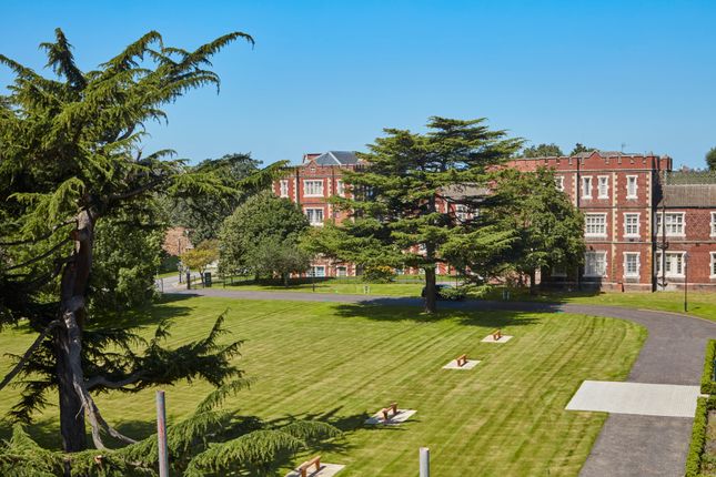 Garden Views