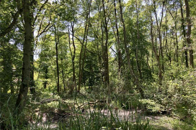 Land for sale in Hook Common, Hook, Hampshire