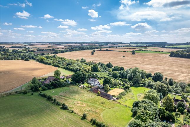 Aerial Shot