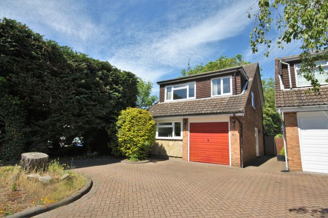 Detached house to rent in Springfield Road, Chelmsford