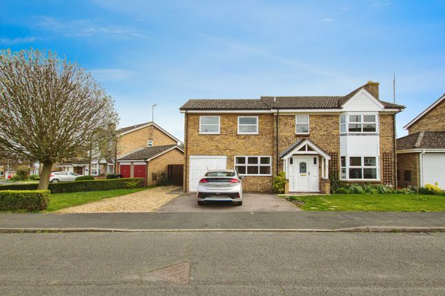 Thumbnail Detached house for sale in Juniper Drive, Ely