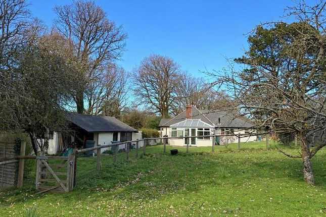 Acorns, Ogdens, Fordingbridge photo 3
