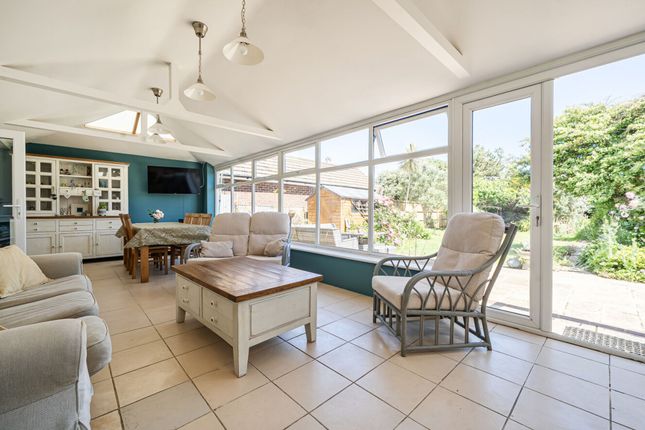 31 Jolliffe Road, Chichester photo 4