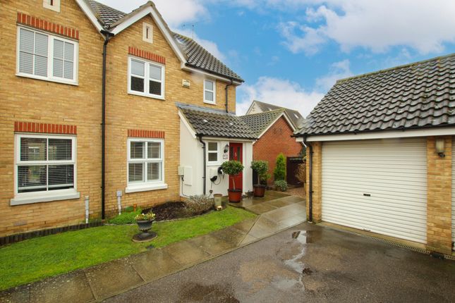 Thumbnail Semi-detached house for sale in Lindisfarne Court, Wickford