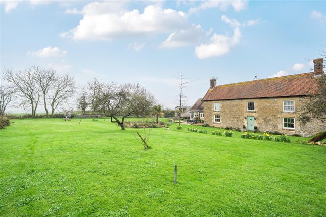 Primrose Farm, Hunger Hill, Gillingham photo 3