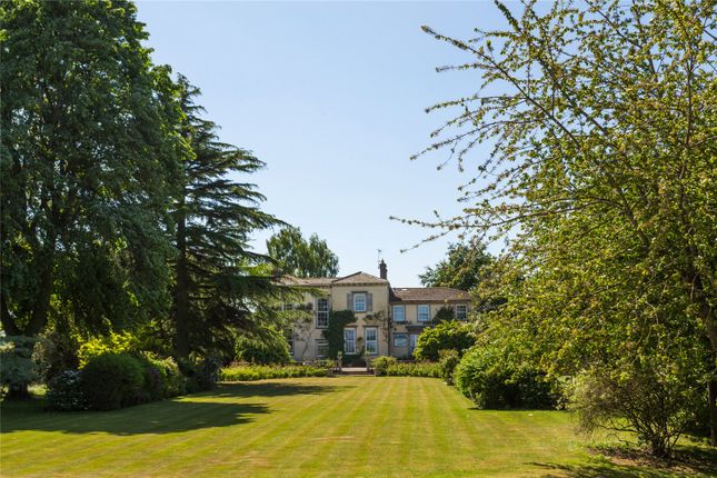 Rear Elevation