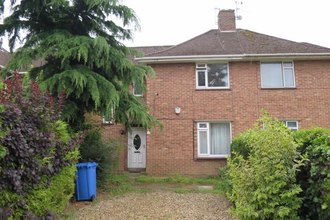 Thumbnail Terraced house to rent in Rockingham Road, Norwich