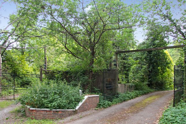 Longacre, Biddenfield Lane, Wickham photo 3
