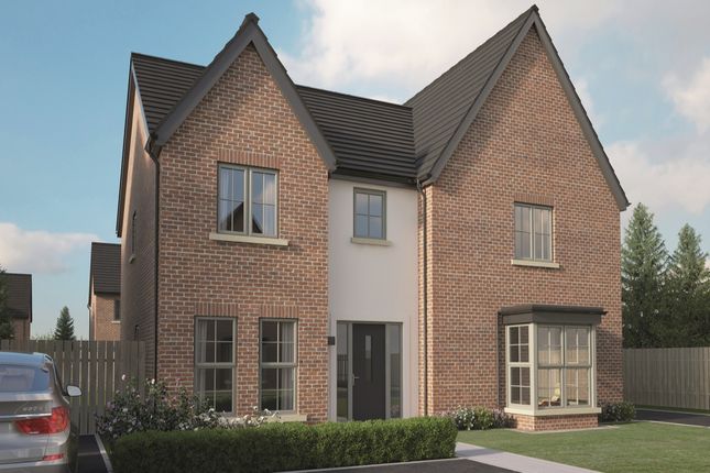 Thumbnail Semi-detached house for sale in Hydepark Mews, Newtownabbey, County Antrim