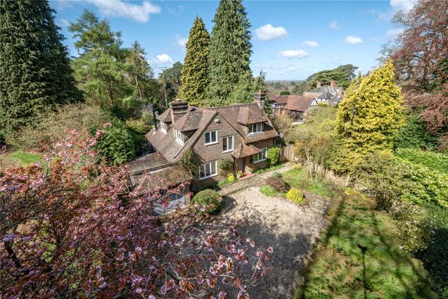 Thumbnail Detached house for sale in Churt Road, Hindhead, Surrey