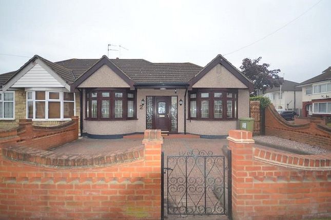 Bungalow to rent in Central Drive, Hornchurch, Essex