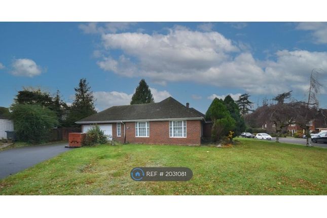 Detached house to rent in Knights Templar Way, High Wycombe