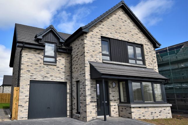 Thumbnail Detached house to rent in Calico Way, Perth, Perthshire