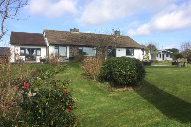 Bradleys Estate Agents Helston Tr13 Property To Rent From