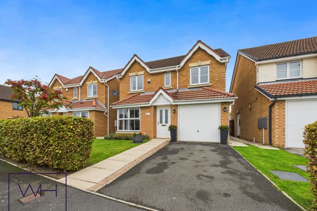 Cam03785G0-Pr0309-Still020