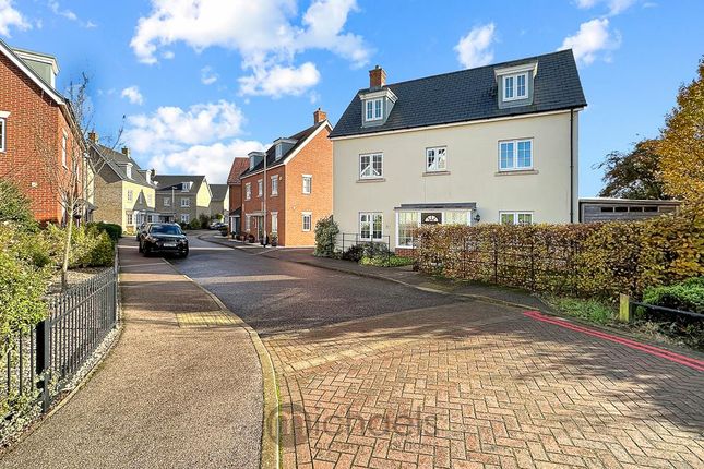 Detached house to rent in Axial Drive, Colchester