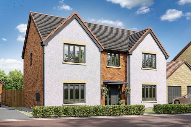 Thumbnail Detached house for sale in "The Heysham" at Lipwood Way, Wynyard, Billingham