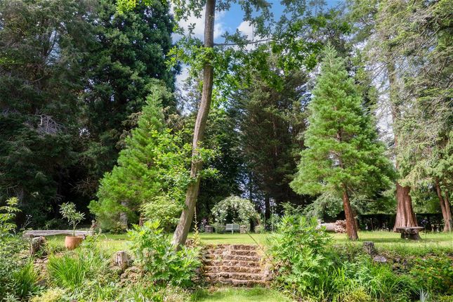 Wisley Court House, Highacre, Dorking photo 4