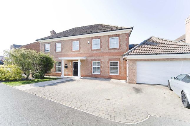 Thumbnail Detached house for sale in Tulip Close, Hartlepool