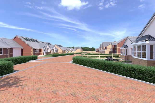 Plot 6, The Duchess II, South Kirkby photo 2