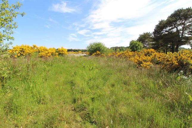 Land for sale in Feabuie, Culloden Moor, Inverness