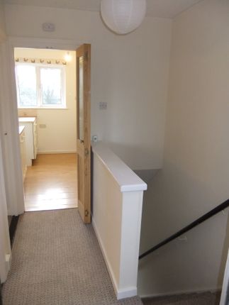172, Normanston Drive, Lowestoft photo 5