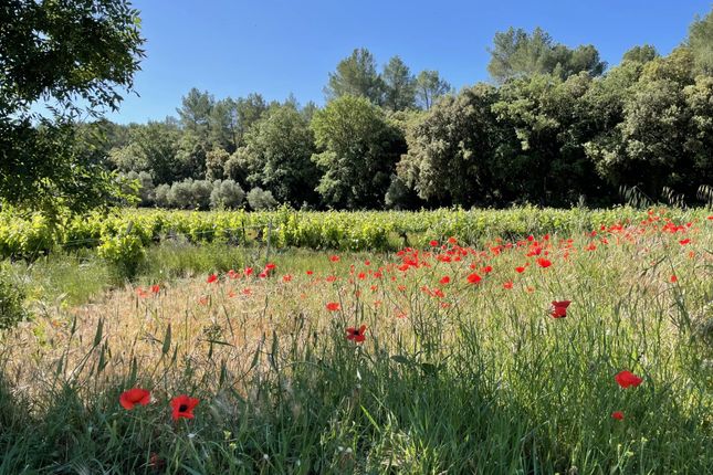 Thumbnail Commercial property for sale in Cotignac, Var Countryside (Fayence, Lorgues, Cotignac), Provence - Var