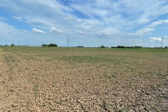 Land for sale in Mole Drove, Spalding