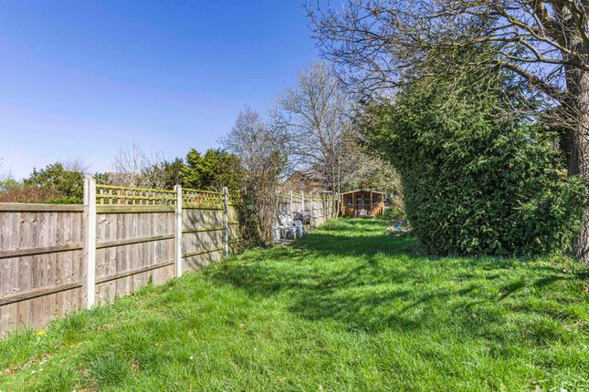 Semi-detached house to rent in Folly Lane, St Albans