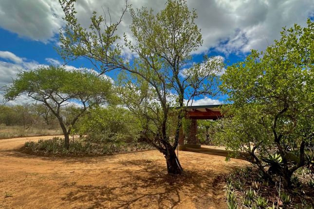 Detached house for sale in 414 Leadwood Big Game Estate, 414 Leadwood, Leadwood, Hoedspruit, Limpopo Province, South Africa