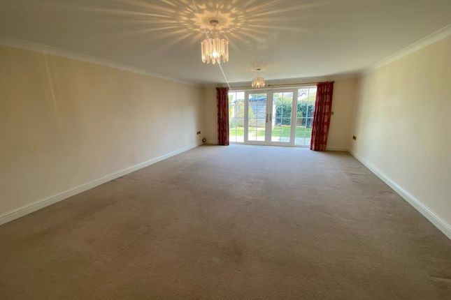 Lounge 2