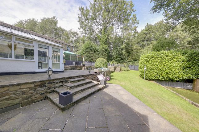 Rear Patio