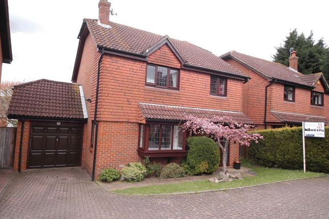 Detached house to rent in Raymer Road, Penenden Heath, Maidstone