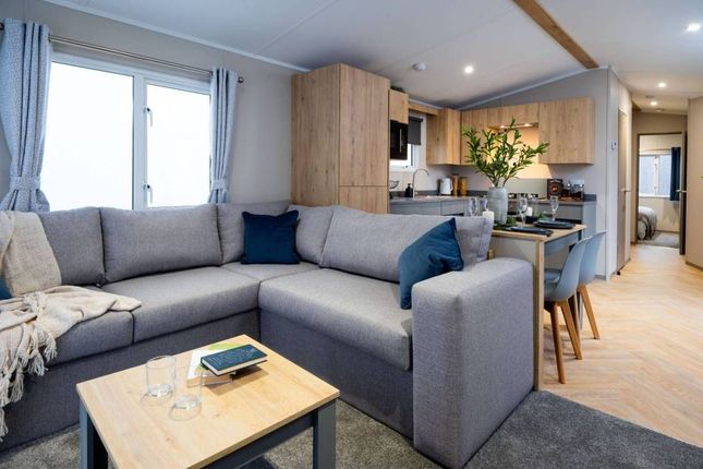 60, Twenty Shilling Wood Holiday Park, Comrie photo 2