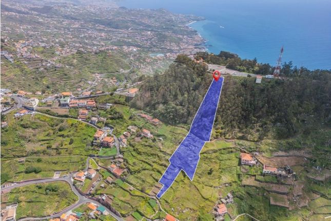 Land for sale in Quinta Grande, Câmara De Lobos, Ilha Da Madeira