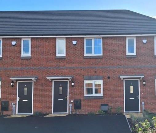 Coppice Green Ivy Elevation.Jpg