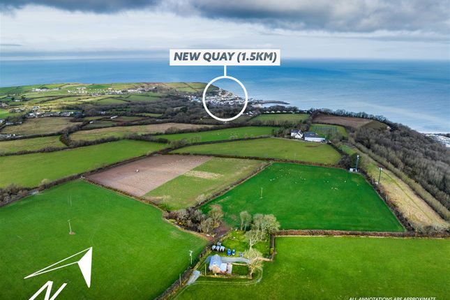 Bwthyn Y Banc, Maenygroes, New Quay photo 4