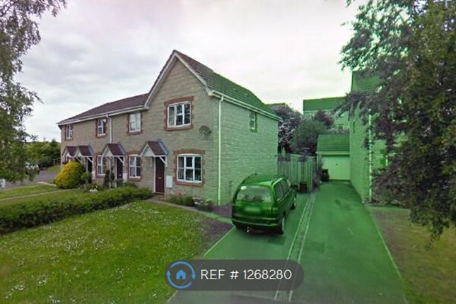 Semi-detached house to rent in Serel Drive, Wells