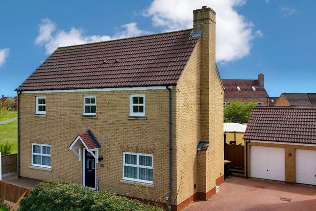 Thumbnail Detached house for sale in Langlands Road, Bedford