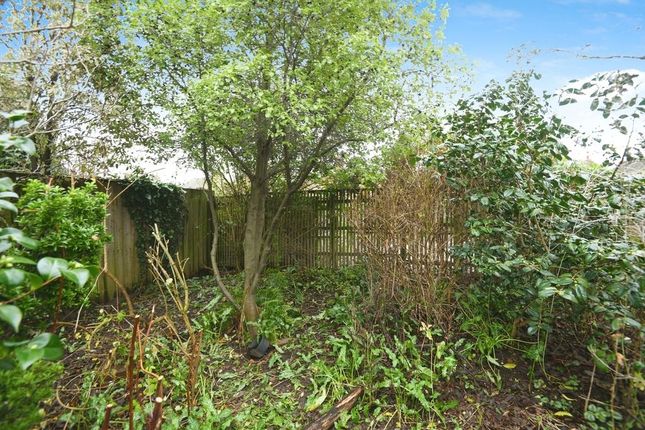 Detached bungalow for sale in Clarkson Avenue, Wisbech, Cambs