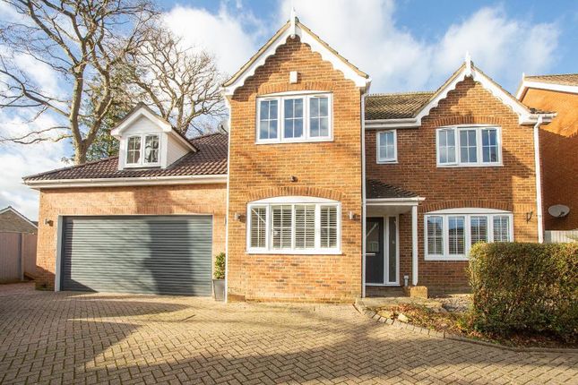Thumbnail Detached house for sale in Lime Way, Heathfield, East Sussex