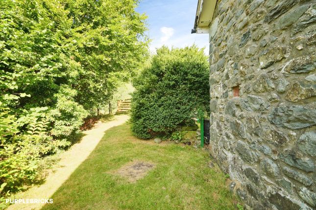 Arwel, Rhydymain, Dolgellau photo 4