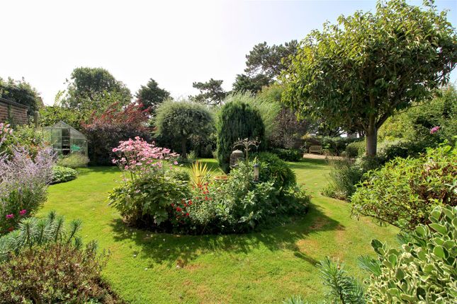 Detached bungalow for sale in Kammond Avenue, Seaford