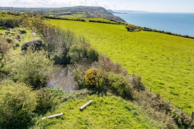 Cottage for sale in Byrlip, New Quay