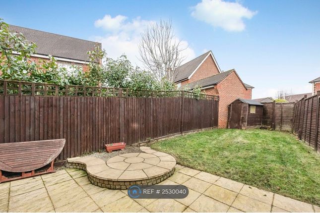 Patio And Garden