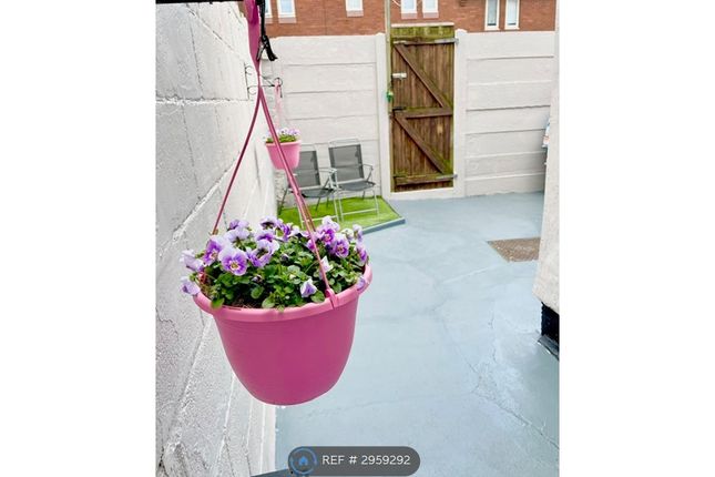 Harebell Street, Liverpool photo 4
