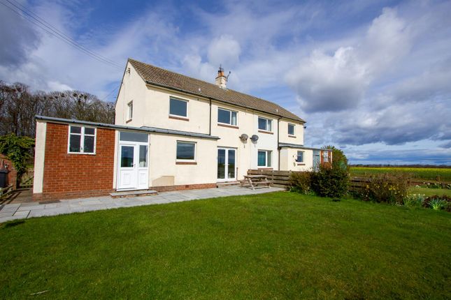 Thumbnail Semi-detached house to rent in West Mains, Beal, Berwick-Upon-Tweed