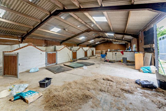 Stables