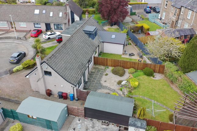 22, Luke Place, Dundee photo 2