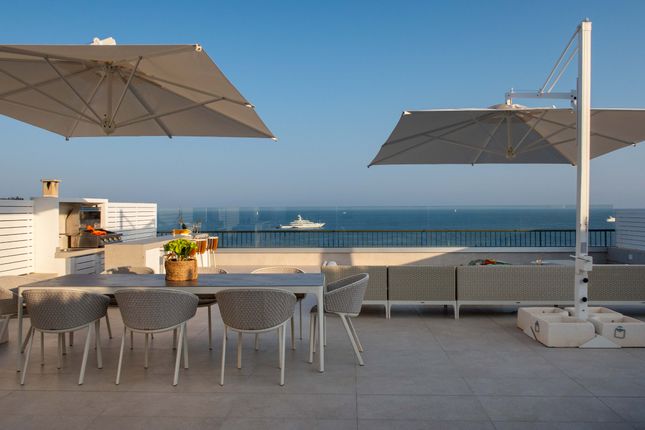 Hotel Kalinga Seville Patio Set B&m Miller Embody Best Office